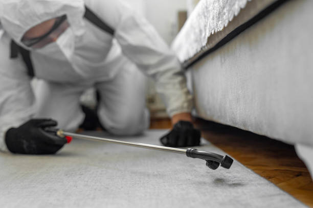 Professional Pest Control technician working in Laureldale, PA