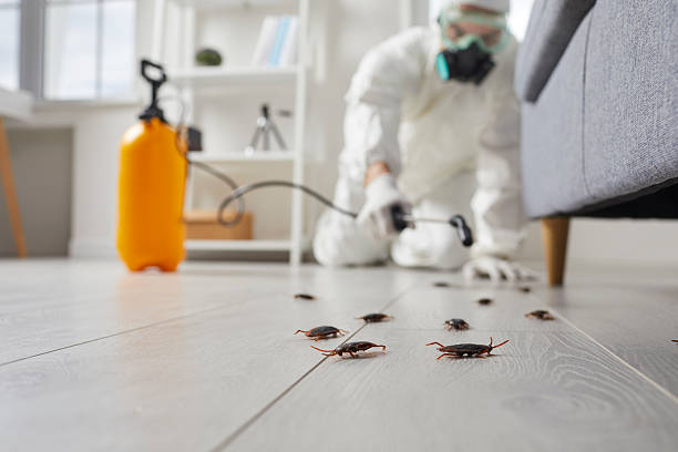 Trusted Emergency Pest Control service in Laureldale, PA - Nex Pest Control
