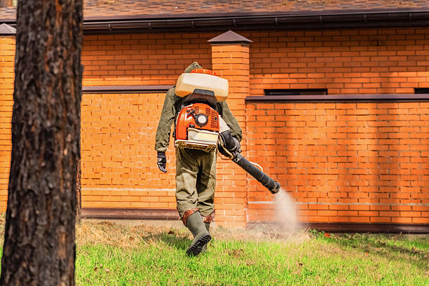 Trusted Cockroach Control service in Laureldale, PA - Nex Pest Control